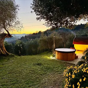 Montebello Degli Olivi Farm stay Chiusi